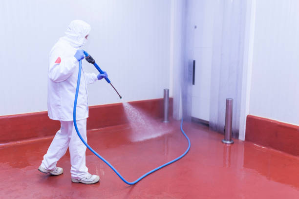Best Solar Panel Cleaning  in Center, TX